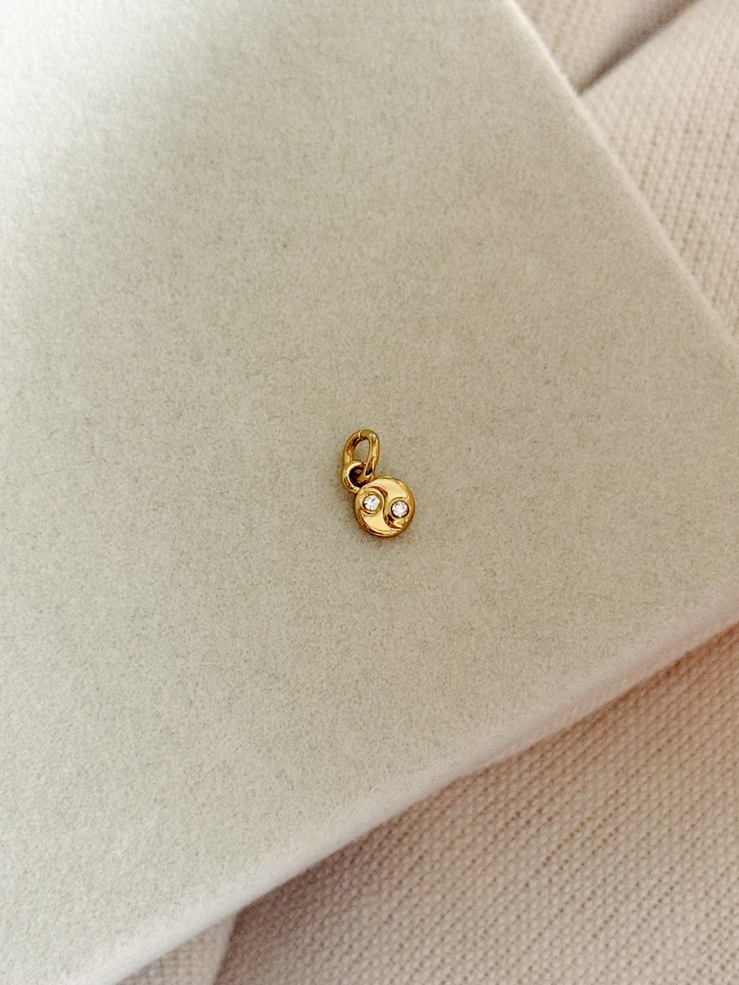 Yin Yang Charm