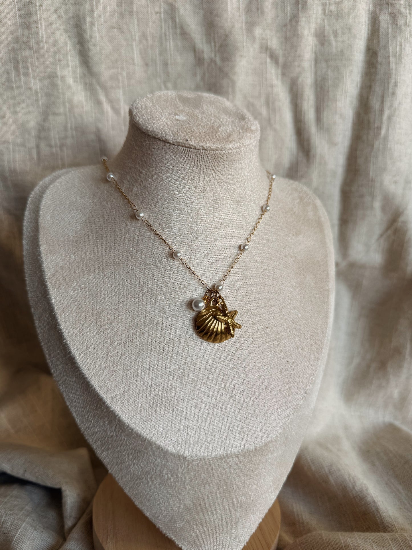 Seashell Necklace